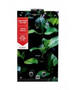  Arideya JSD 20 G1(картинка:водопад,горы,листва,пионы)